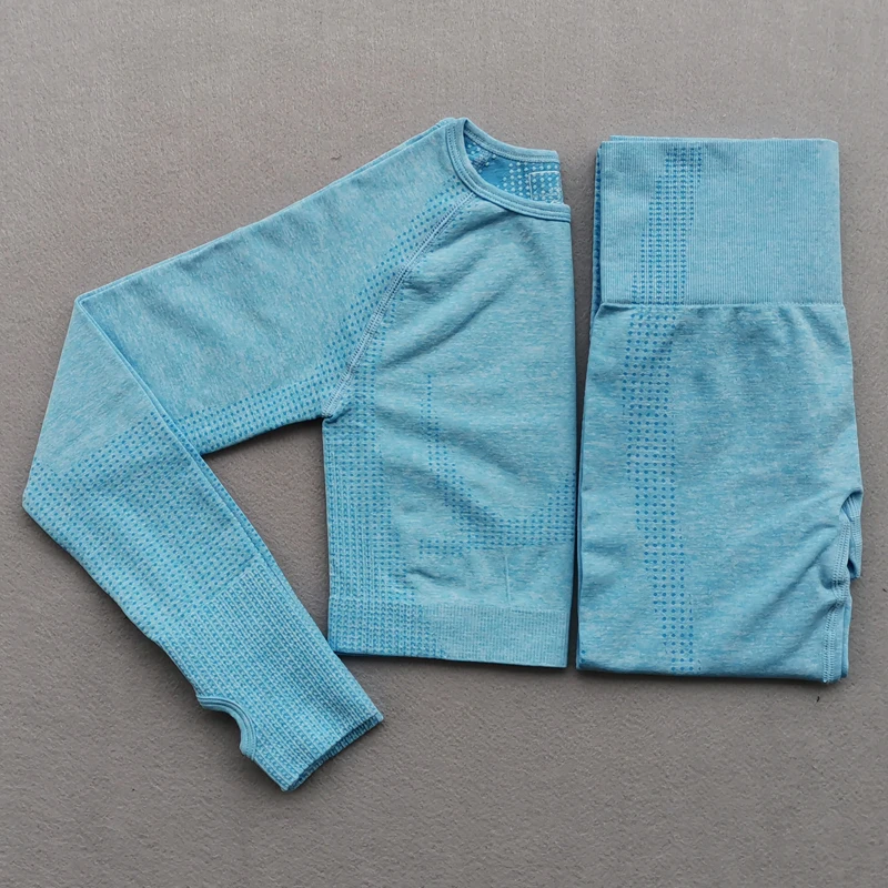 Seamless Yoga Suit 2 piece Sports Shirts Crop Top Seamless Leggings Sport Set Gym Clothes Fitness Tracksuit Workout Set Femme