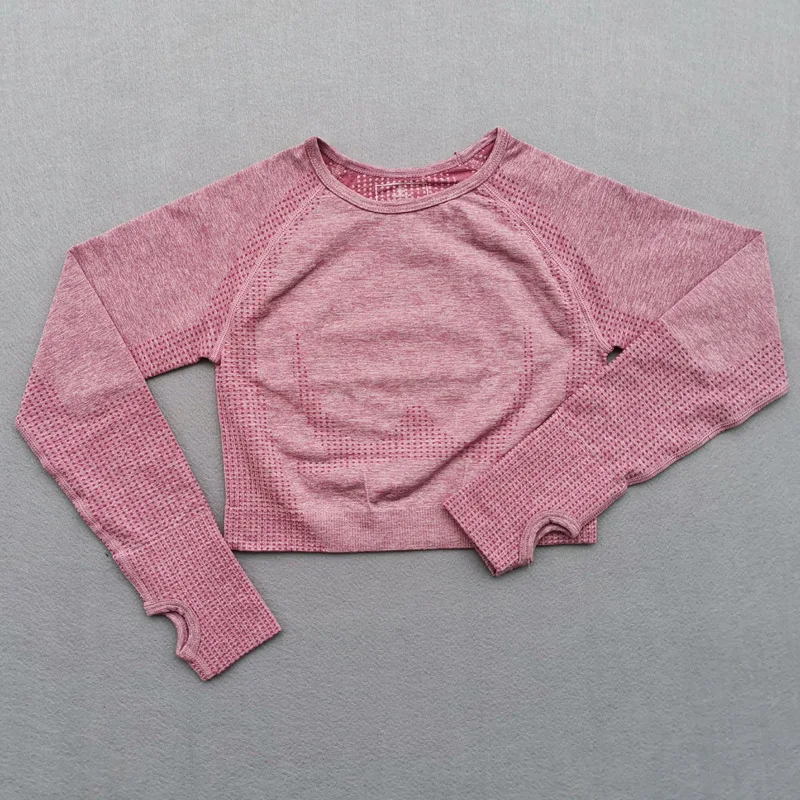 Seamless Yoga Suit 2 piece Sports Shirts Crop Top Seamless Leggings Sport Set Gym Clothes Fitness Tracksuit Workout Set Femme