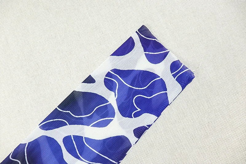 CM.YAYA Women 3D Printed O-neck A-line Mesh Long Sleeve Maxi Long Dress 2025 Summer Fashion Birthday Vacation Sexy Party Dresses CM.YAYA Women 3D Printed O-neck A-line Mesh Long Sleeve Maxi Long Dress 2025 Summer Fashion Birthday Vacation Sexy Party Dresses