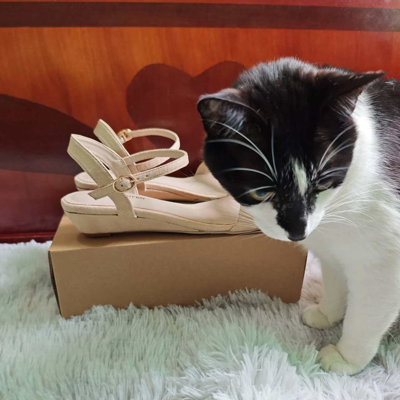 Women’s Wedge Sandals Low Heels Open Toe Comfort Strappy Dress Ankle Strap High Heeled Casual Walking Summer Party Wedding Shoes Women's Wedge Sandals Low Heels Open Toe Comfort Strappy Dress Ankle Strap High Heeled Casual Walking Summer Party Wedding Shoes