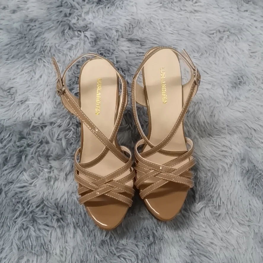 NEW Women Sandals14CM Sexy Platform High Heels Ankle Strap Sandals Open Toe Gladiator Party Dress Woman Shoes Plus Size 43 44