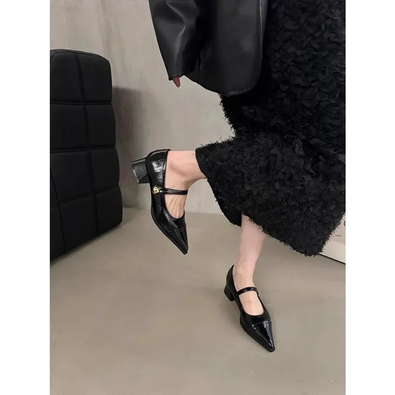 Pointed Toe Mary Janes Women's oes Spring Autumn New Sle Chunky Heel High Heel Retro Aosphere Leather Faion Single oes