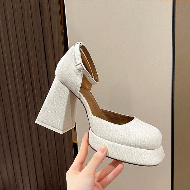 Luxury Flower Print Satin Silk Platform Mary Janes Women 90mm High Heel Ankle Strap Pumps Ladies Trendy Brand Shoes Luxury Flower Print Satin Silk Platform Mary Janes Women 90mm High Heel Ankle Strap Pumps Ladies Trendy Brand Shoes