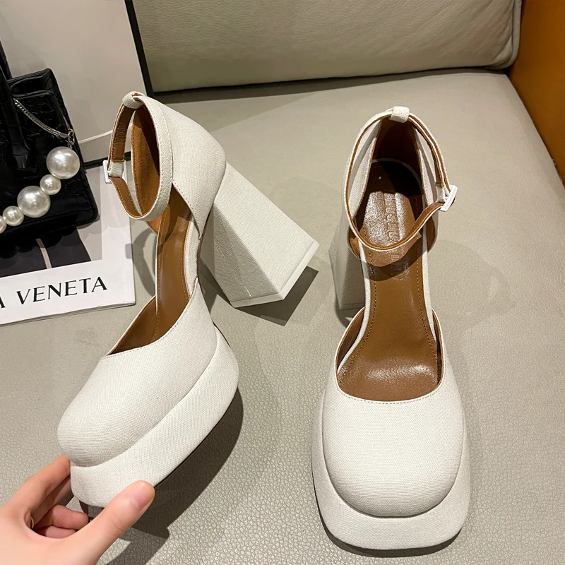 Luxury Flower Print Satin Silk Platform Mary Janes Women 90mm High Heel Ankle Strap Pumps Ladies Trendy Brand Shoes Luxury Flower Print Satin Silk Platform Mary Janes Women 90mm High Heel Ankle Strap Pumps Ladies Trendy Brand Shoes